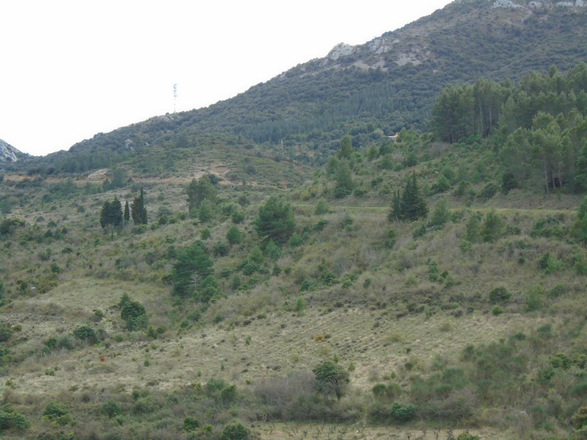 Gite La Tramontane Villa Cucugnan Eksteriør bilde