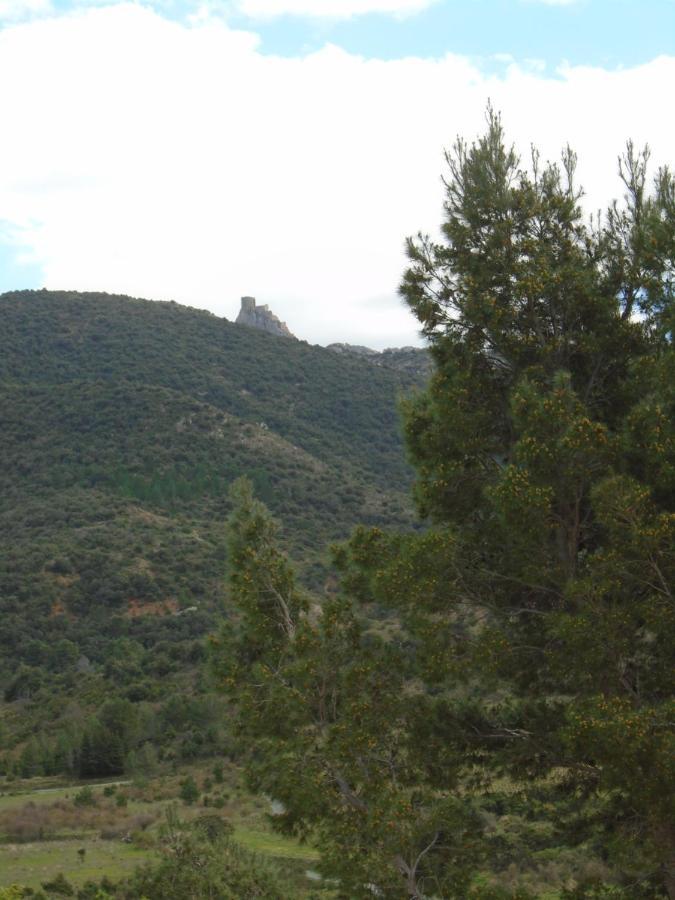 Gite La Tramontane Villa Cucugnan Eksteriør bilde